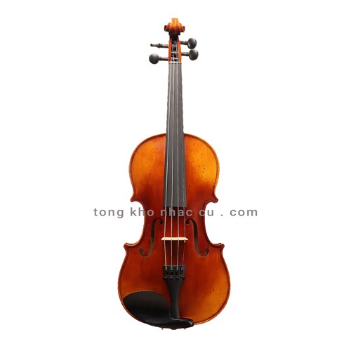 Đàn Violin Scott Cao STV - 017E